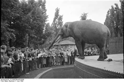 Der Leipziger Zoo – Ein beliebtes Ausflugsziel in der DDR | Alltag Ost