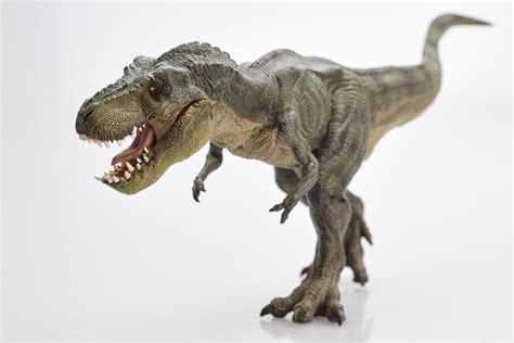 Der T Rex war beim Gehen noch langsamer als wir Menschen