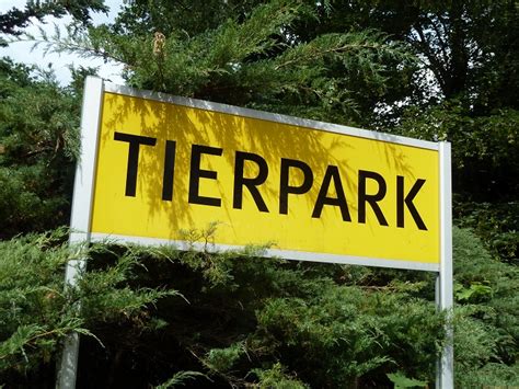 Der Tiergarten Delitzsch verzeichnet neuen Besucherrekord | Radio Leipzig