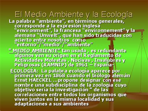 Derecho Ambiental   Monografias.com