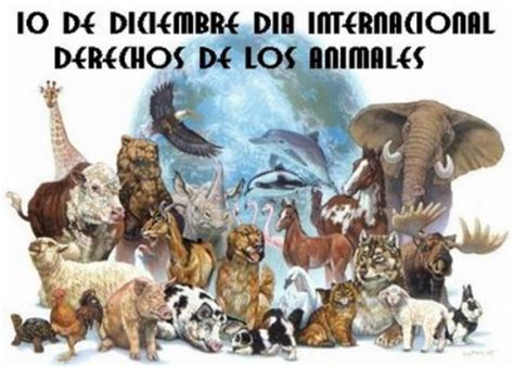 Derechos de los animales [46 Imágenes y mensajes ...