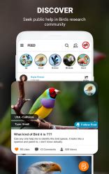 Descargar Aves identificador aplicación por foto, pájaro ID para Android
