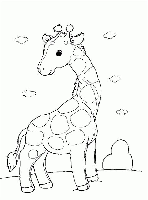 Descargar dibujo de jirafa para colorear   Imágenes para ...