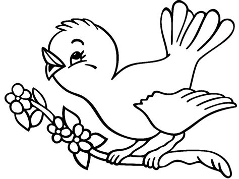Descargar gratis dibujos para colorear – aves.