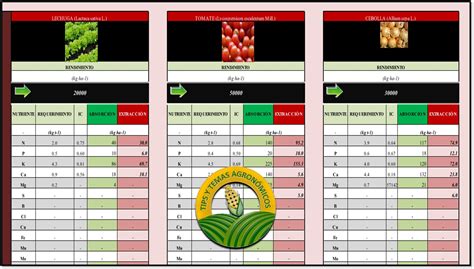 Descargar Hoja De Calculo Excel Gratis   keziaeloise