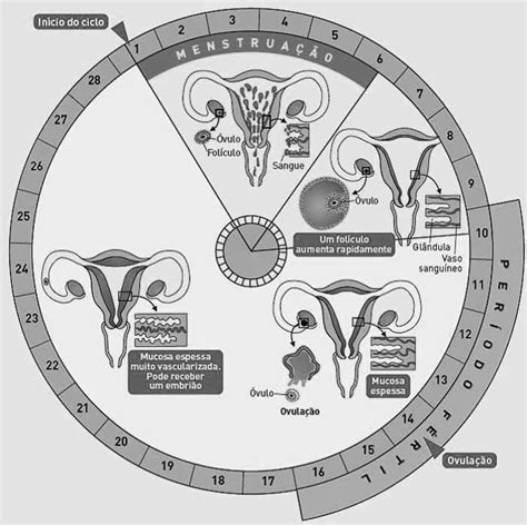 Descolonizar nuestros cuerpos: el ciclo menstrual | La tinta