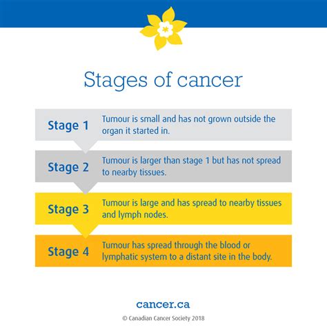 Description of cancer stages one, two, three and four ...