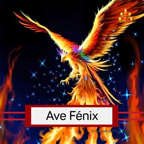 Descubre el significado del AVE FÉNIX , un símbolo de transformación y ...