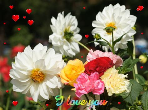 Descubre Estas Flores Hermosas De Amor Con Poemas Románticos | IMÁGENES ...