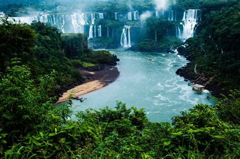 Descubre la belleza de la Selva Amazónica [2019 ...