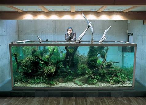 Descubre los increíbles jardines acuáticos de Takashi Amano   La voz ...
