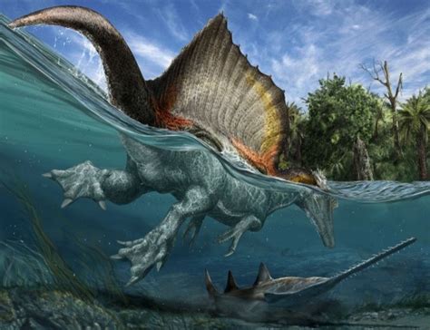 Descubren al único dinosaurio nadador conocido