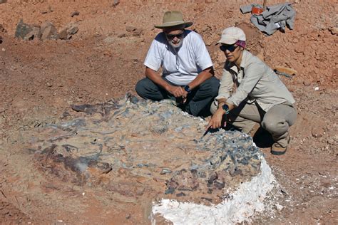 Descubren cementerio de fósiles de 220 millones de años en Argentina ...