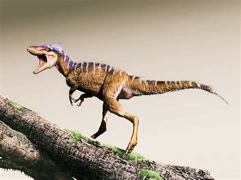Descubren diminuto dinosaurio pariente del Tyranosaurio ...
