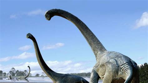 Descubren dos dinosaurios herbívoros de cuello largo en Australia | Tele 13