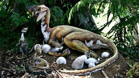 Descubren el primer fósil de un dinosaurio sentado en su ...