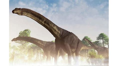Descubren en Argentina un dinosaurio que podría ser el más ...