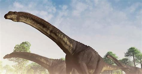 Descubren en Argentina un dinosaurio que podría ser el más ...