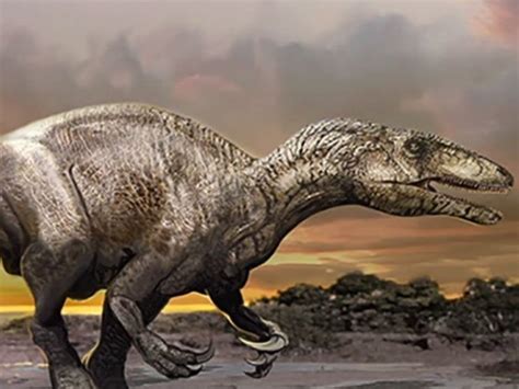 Descubren en Argentina un nuevo dinosaurio carnívoro   Noticias   Taringa!