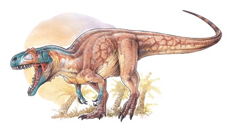 Descubren en Chubut uno de los dinosaurios carnívoros más ...