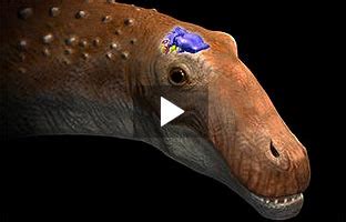 Descubren en Cuenca el primer dinosaurio  Ampelosaurus  de ...