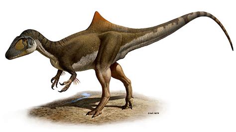 Descubren en España el primer dinosaurio jorobado del mundo