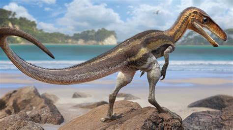 Descubren en los fósiles de este dinosaurio que su cola ...