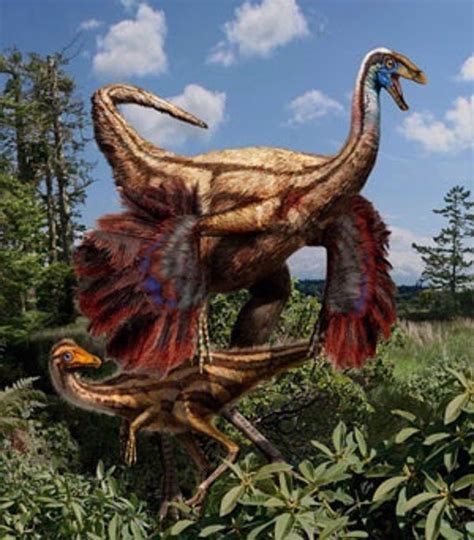 Descubren fósiles de los primeros dinosaurios con plumas ...