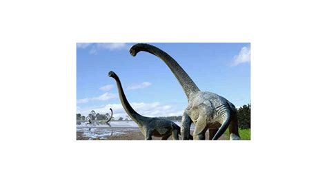 Descubren fósiles de nuevo dinosaurio de cuello largo en Australia
