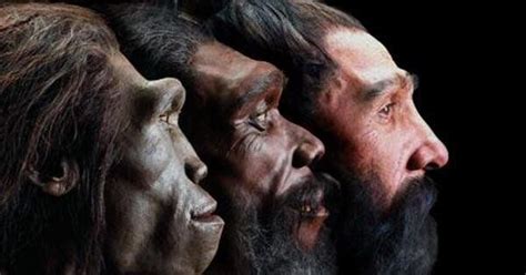 Descubren los fósiles más antiguos de “Homo Sapiens ...