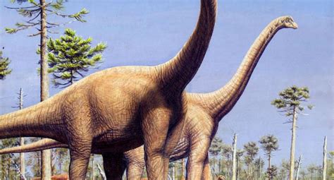 Descubren los primeros restos de dinosaurios en Arabia ...