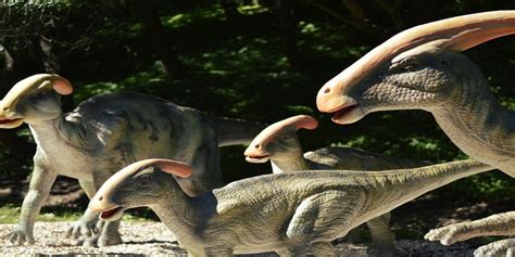 Descubren nueva especie de dinosaurio con cresta y cuello ...