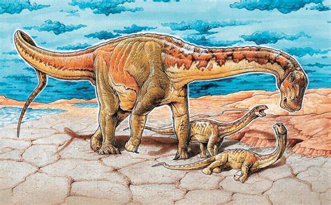 Descubren nueva especie de dinosaurio en Argentina