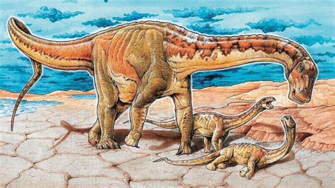 Descubren nuevo dinosaurio en la Patagonia   Capital México