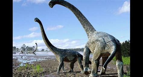 Descubren nuevos dinosaurios de cuello largo en Australia ...