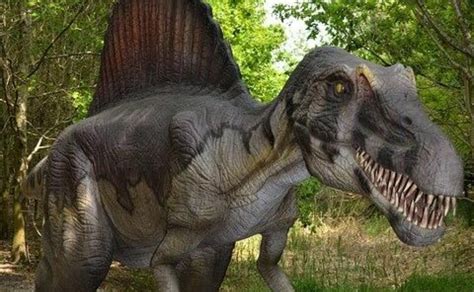 Descubren pruebas que sugieren que los dinosaurios ...