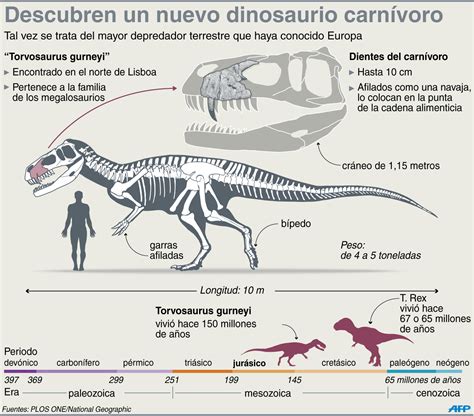 Descubren restos de una nueva especie de dinosaurio en Portugal ...