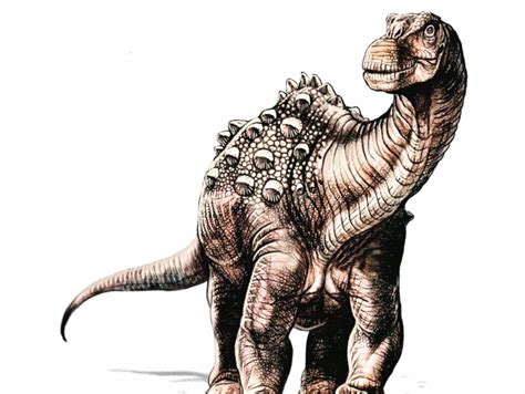 Descubren restos del primer dinosaurio que vivió en ...
