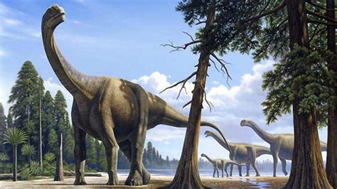 Descubren un nuevo dinosaurio de cuello largo que habría emigrado desde ...