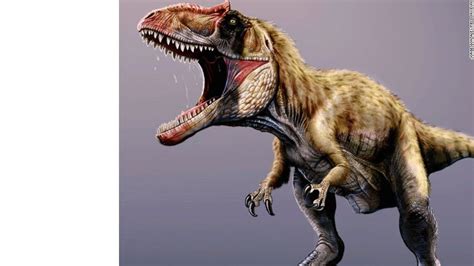 Descubren un nuevo dinosaurio gigante que reinó antes que el ...