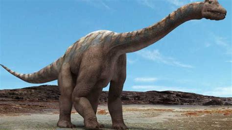 Descubren una especie de dinosaurio saurópodo en la Patagonia argentina ...