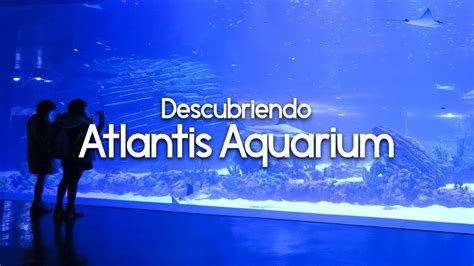 Descubriendo Atlantis Aquarium  Madrid    YouTube