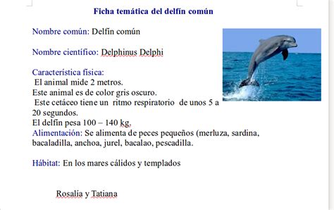 Descubriendo Bichos: Delfines