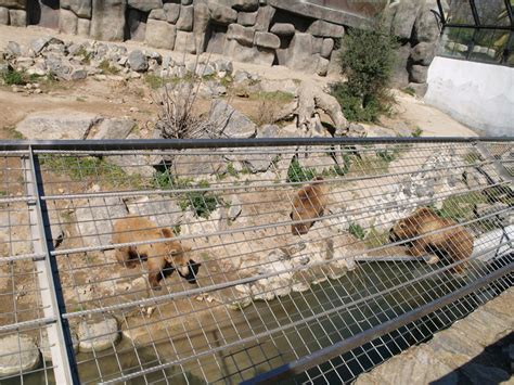 Descubriendo el Zoo de CÓRDOBA | PACommunity
