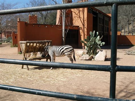 Descubriendo el Zoo de CÓRDOBA | PACommunity