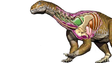 Descubrieron en Argentina el dinosaurio gigante más antiguo registrado ...