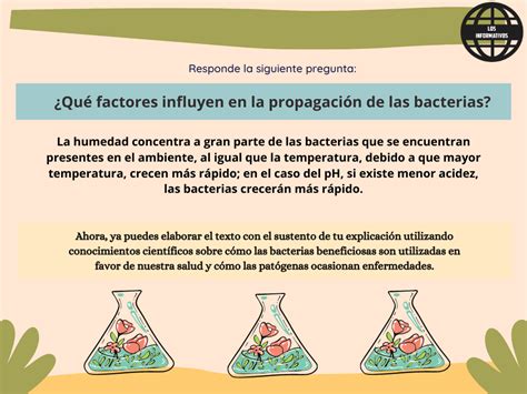 Descubrimos cómo son las bacterias   Los Informativos