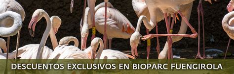 Descuentos exclusivos en la web de bioparcfuengirola.es ...