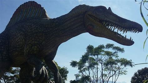 Desde el Parque de los Dinosaurios   Picture of Expo ...