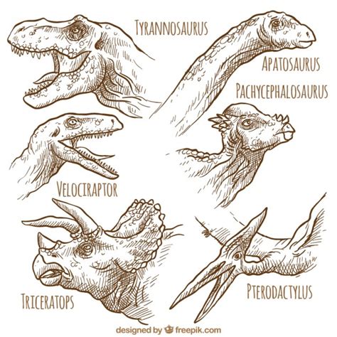 Desenhado mão espécie de dinossauros | Baixar vetores grátis